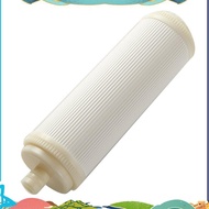 10 Inch Socket Type  Hollow Fiber Ultrafiltration Membranes Filter 0.01 Micrometre High  Membrane  D