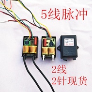 Gas Stove Natural Gas Stove Pulse Igniter Two-Wire Pin Embedded Universal Stove Igniter Accessories