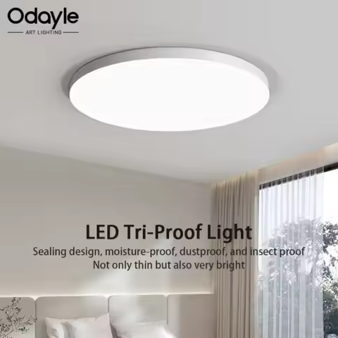 Modern LED Ceiling Light 220V Dust-proof Waterproof Mosquito Proof Three Proof Lights Living Room Be