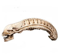 Mô Hình Người Ngoài Hành Tinh Xenomorph Alien Mô Hình Hộp Sọ Trang Trí Halloween Mô Hình Bộ Xương Gi