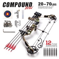 Professional 20-70 LBS Compound Bow Archery Arrows Camping Fishing Set