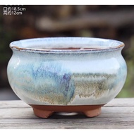 Ready stock ‼️ Ceramic Succulent Pot 花盆粗陶大口径陶瓷紫砂简约多肉植物老桩盆绿萝花盆