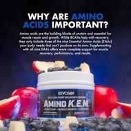 Evogen Amino KEM | Supports Blood Flow, Muscle Growth | Full Spectrum EAAs & BCAAs | Shopee SG