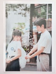 難哄姊妹作 偷偷藏不住 桑稚x段嘉許 趙露思x陳哲遠 防水膠片A4 size 海報 防水膠片小卡