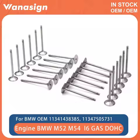 Engine Intake Exhaust Valve Set Fit 2.5 3.0 L For BMW M3 330i 530i E46 M52 M54 M52B25 M52B30 M54B25 