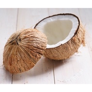 🔥SALES🔥Kelapa tua isi tebal untuk santan/ Old coconut with thick flesh for coconut milk 🌴