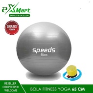 Gym Ball / Fitness Ball / Yoga Ball / Home Gym / Pregnant Ball / Gymnastics
