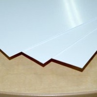 Special Pla Plate January 2014 - E9B9C9 - Original Authentic