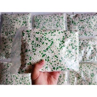 1 kg sagu mutiara sagu murah sagu mutiara hijau sagu mutiara merah.
