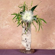 日本屋久島手工流木花瓶 復古自然風單輪插 86