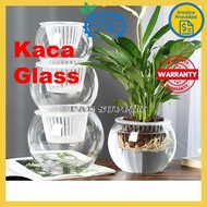 Pasu Bunga kaca bulat Glass vase Indoor Hydroponic Flower vase round fish aquarium