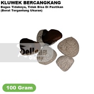 Kluwek Keluwek Kluwak Keluak Kepayang Rawon Seasoning 100 gr Kelewek Keluwak Kluwak Sambal Seasoning