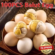 Mr.Squirrel 100PCS Balut Egg/Balot Egg Spicy & Five-Spice Flavors Egg Salted Egg
