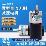 3650 Xindav Motor Brushless Small Motor Forward Reverse Turn 12V24 Adjustable Speed DC Motor Micro G
