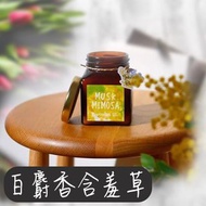 ❤️包順豐智能櫃❤️日本John's Blend Musk Mimosa 含羞草麝香室內香氛膏 (135g)