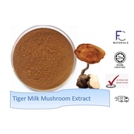 Tiger Milk Mushroom extract / Ekstrak Cendawan Susu Harimau / Product halal / 100% Pure