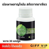 กิฟฟารีน ชาเขียวสกัด เผาผลาญไขมัน ลดคอเลสเตอรอล อีจีซีจี (30 แคปซูล) Giffarine EGCG (กระปุก30เม็ด)
