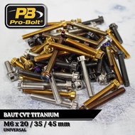 Titanium CVT Bolts Probolt M6 Titanium CVT Bolts Size M6x20mm M6x35mm M6x45mm Thread M6 Universal Ti
