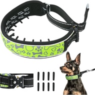 Heavy Duty Dog Prong Collar – Adjustable Martingale No-Pull with Stainless Steel Spikes, Doberman/Pi