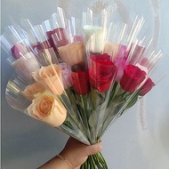 Bunga Mawar 1 Tangkai Asli Murah Buket Wisuda Hadiah Valentine