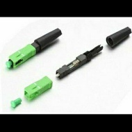 50 Đầu fast connect sc/apc