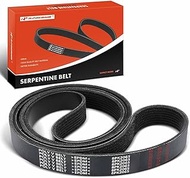 A-Premium Heavy-Duty Serpentine Drive Belt Compatible with Blue Bird, Freightliner & Sterling Truck