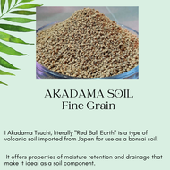 1L Japanese Akadama Fine Grain 2-3mm Medium Grain 8-10mm size  Top quality •Soil Additive for Growing Potted Plan