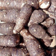 umbi talas segar (500gram)/talas belitung /talas kimpul belitung/murah
