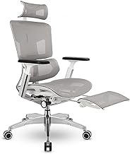 Ergonomic Office Chair Luxury Boss Chair with 3D Armrests, Breathable Mesh Executive Chairs with 5 Gears Adjustable Lumbar Support, Sedentary Comfort Computer Chair/1615 (Color : White, Size : Yes)