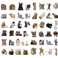 พร้อมส่ง🤣สติกเกอร์มีมแมว มีมแมว ตลก Funny cat meme sticker ไว้แปะเคส สมุด กระเป่า สติกเกอร์ตลก 52018