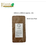 (SG Seller) Coco Peat brick (Usagi) 椰砖