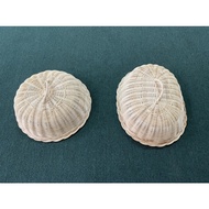 Tudung Saji Rotan Natural Kecil / Tudung Saji Murah / Small Natural Rattan Food Cover