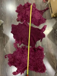 多張 $40塊 酒紅色羊毛羊皮毯 約20寸長 家居擺設 皮草製作 飾品佈置 攝影道具 飾物DIY