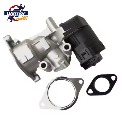 For VOLVO C30 C70 S40 S80 V50 V70 2.0 D EGR Valve 6M5Q9D475AA 161832 1618GZ 161831 1618S8 71793028 7