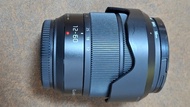 Panasonic Lumix G Vario 12-60mm 鏡頭