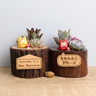 小日苗花型多肉盆栽 字牌客製|升官離職兒童結婚生日畢業禮物