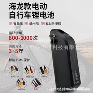 48V20AH Electric Vehicle Lithium Battery Mountain Bike 36V Sea Dragon No. 1 Type 2 Power Lithium Bat