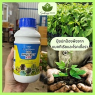 ปุ๋ยปกป้องพืชจากเชื้อราและแบคทีเรีย ปุ๋ย Vio Protect x99