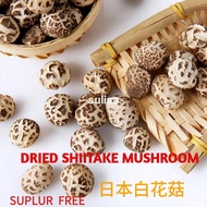 【200g~300g 】一口菇/日本花菇 Premium Dried Shiitake Mushroom 2-2.5 CM 珍珠菇/白花菇