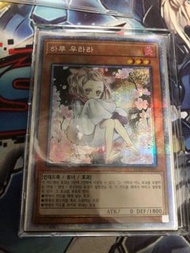 遊戲王卡 韓文 白碎 異圖灰流