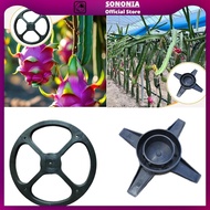 [SONONIA] Dragon Fruit Trellis Plant Trellis for Potted Plants for Fruits Yard Balcony