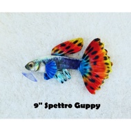 Spettro Guppy - Original Green Pleco Plushies, Fish Aquarium Collectibles (9 inch)