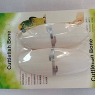 2025readystock Premium Parrot Dedicated Polishing Disinfection Cuttlefish Bone Sea Bone Skin Budgeri