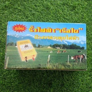 Thailand Energizer 1joule (fence controler)