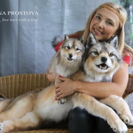 Wolf and Wolf Cub plush toys. Realistic animals toys. Animals replicas
