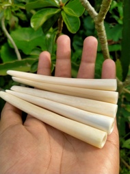 Padudan Once Pipa Rokok Tulang Tebal Kualitas Super Premium