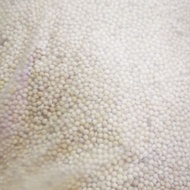 Makanan Kambu Makan untuk burung