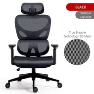 GASMBUY Ergonomic Chair【READY STOCK】Office Chair Breathable Mesh Desk Chair Lumbar Support Computer 