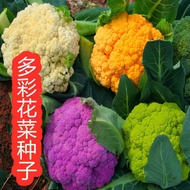 【多西多】有機花菜種籽彩色花椰菜種子綠黃紫花菜種四季農家春秋季蔬菜種孑