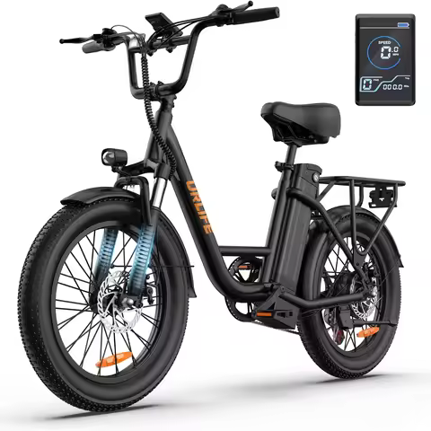 URLIFE W E20 Electric Bike | 48V 13Ah Removable Battery, 20MPH, 20'x3 "Fat, 7-Speed E-Bike with Dual